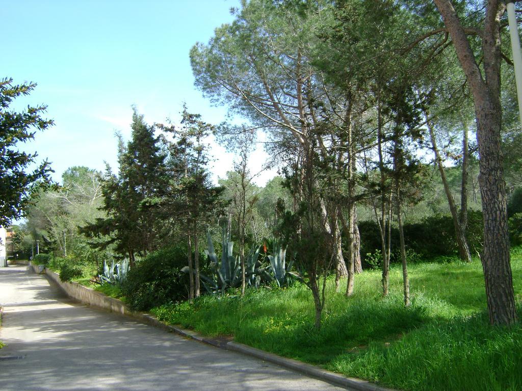 Appartamento Maraviglios Alghero Kültér fotó